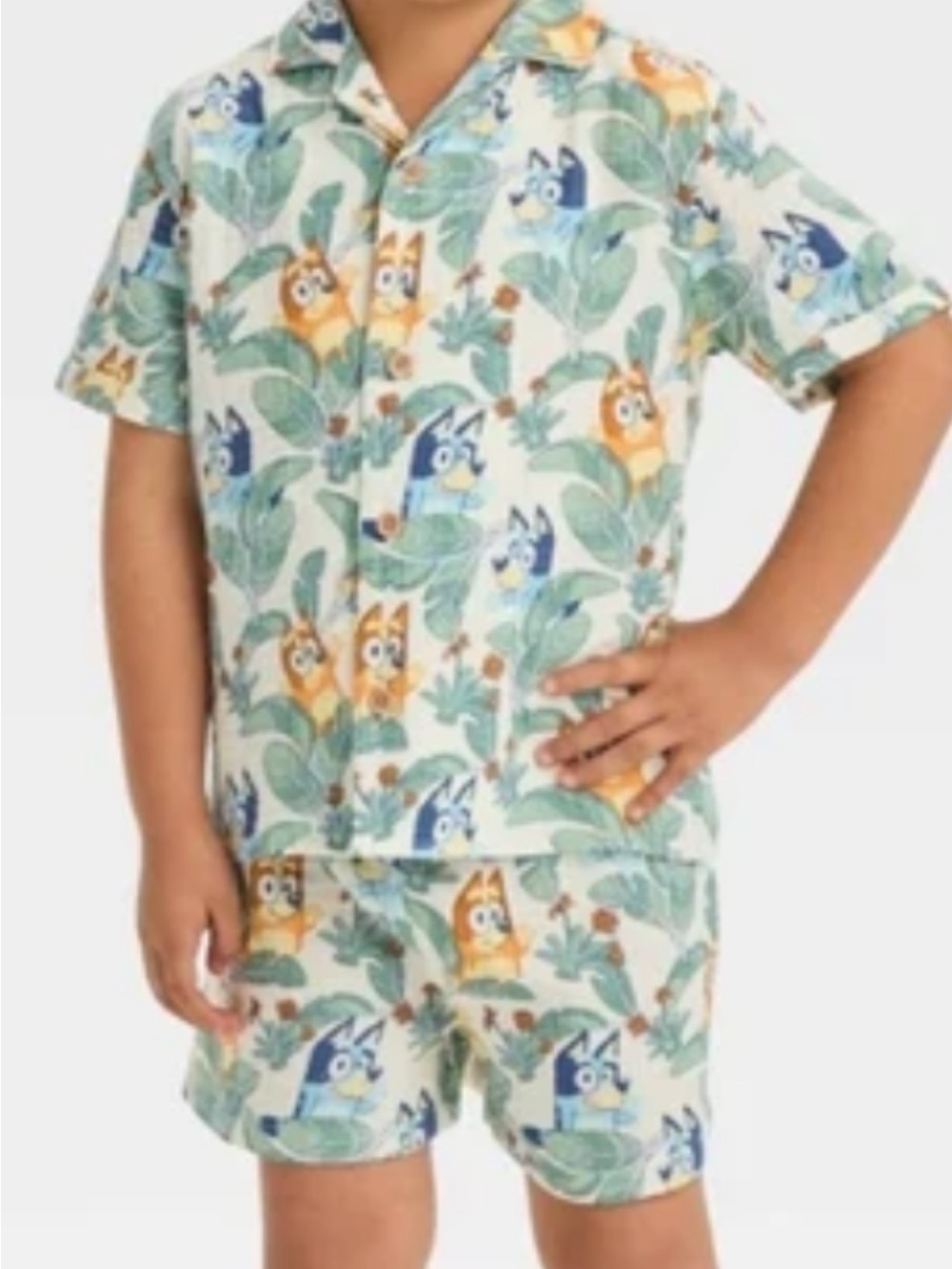 Bluey Short Set with Blue and Orange Character Print 2 2T 2pc